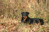 BEAUCERON 1030